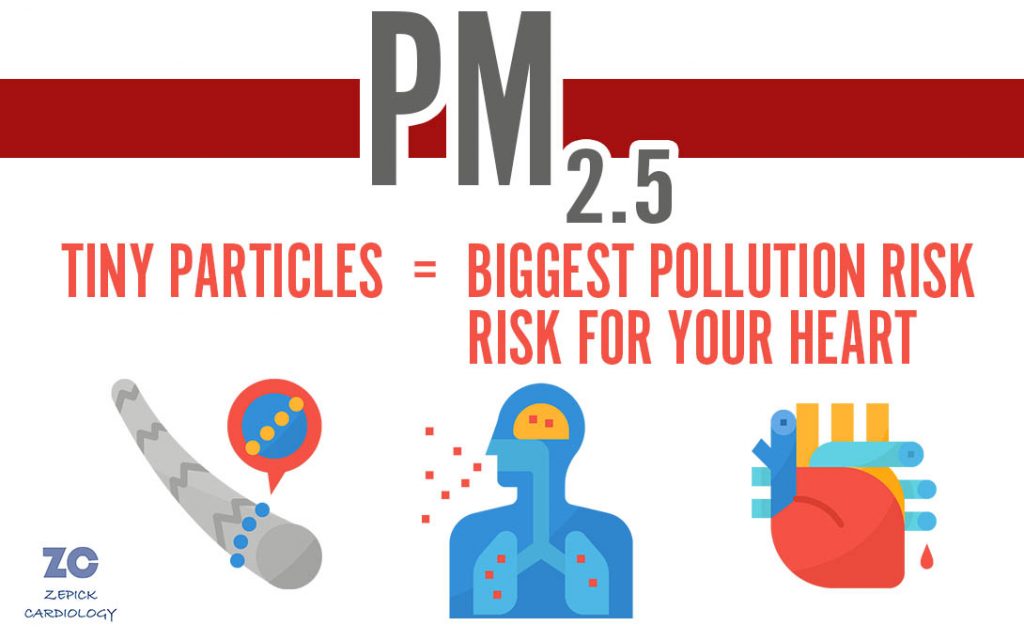 tiny pollution particles put the biggest risk on cardiovascular health including heart attacks